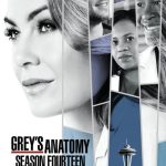 مسلسل Grey’s Anatomy الموسم 14 الحلقة 24 والاخيرة مترجمة