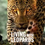 فيلم Living with Leopards 2024 مترجم اون لاين