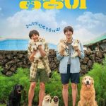 فيلم My Heart Puppy 2023 مترجم اون لاين