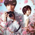 فيلم Love Like the Falling Petals 2022 مترجم