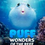 فيلم Puff: Wonders of the Reef 2021 مترجم