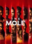 برنامج The Mole الموسم الاول الحلقة 1 مترجمة