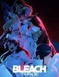 انمي Bleach الموسم الثاني الحلقة 14 مترجمة