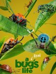 مسلسل A Real Bug’s Life الموسم الاول الحلقة 2 مترجمة