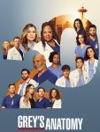 مسلسل Grey’s Anatomy الموسم 20 الحلقة 3 مترجمة