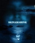 مشاهدة فيلم Skinamarink 2022 مترجم