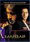 فيلم Baghban 2003 مترجم