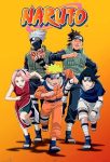 انمي Naruto الموسم الاول الحلقة 220 والاخيرة مترجمة