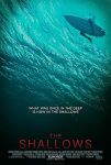 فيلم The Shallows 2016 مترجم