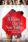 فيلم A Rainy Day in New York 2019 مترجم